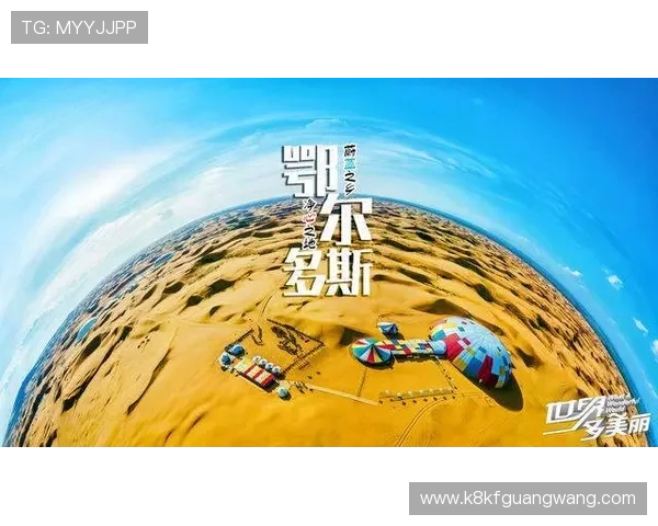 提升体育竞猜体验:K8体育娱乐平台的专业分析工具与实时数据支持介绍