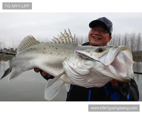 提升捕鱼技巧的实用攻略，助你在K8捕鱼网投中轻松获胜